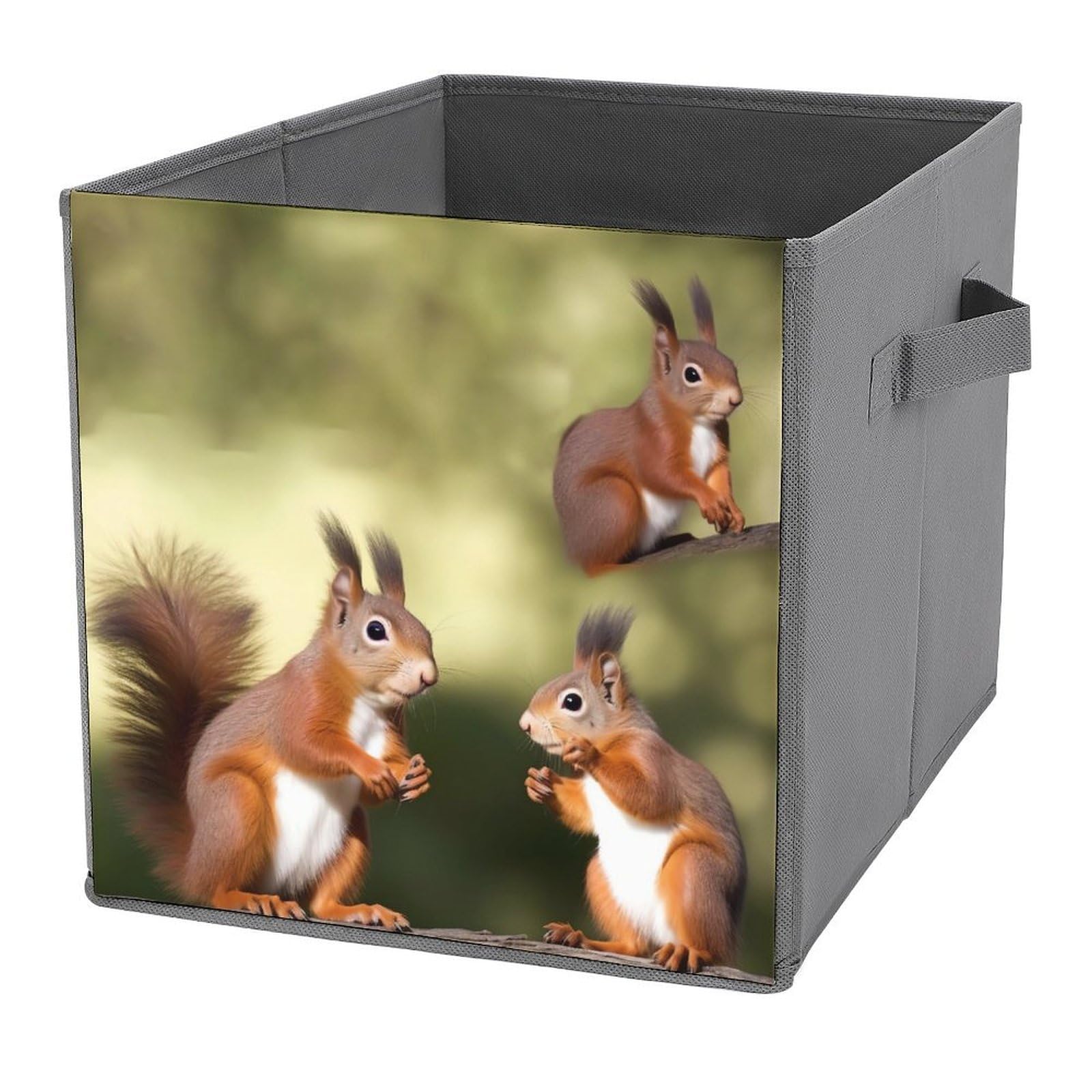 NONHAI Collapsible Storage Bins with Dual Handles Fabric Storage Basket Foldable Cubes Organizer Baskets Cute Squirrels Storage Boxes for Organizing Clothing Cube Storage Organizer Bins