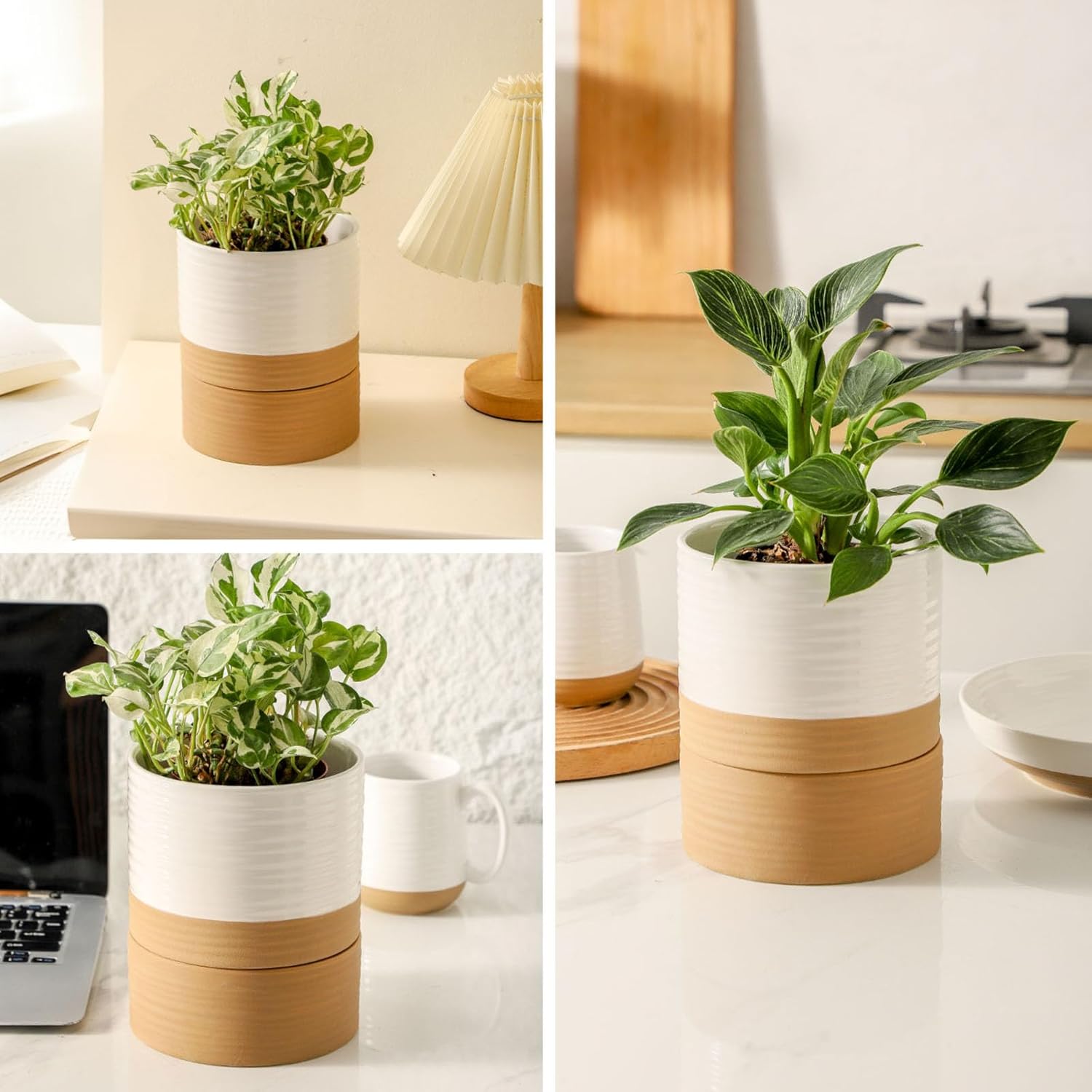 HASENSE Ceramic Plant Pot with Saucer, 6 Inch Planter White Flower Pot for Succulents,for Indoor Plants with Drainage Hole, Snake Plants & Cactus, Modern Decor Gift for Mom