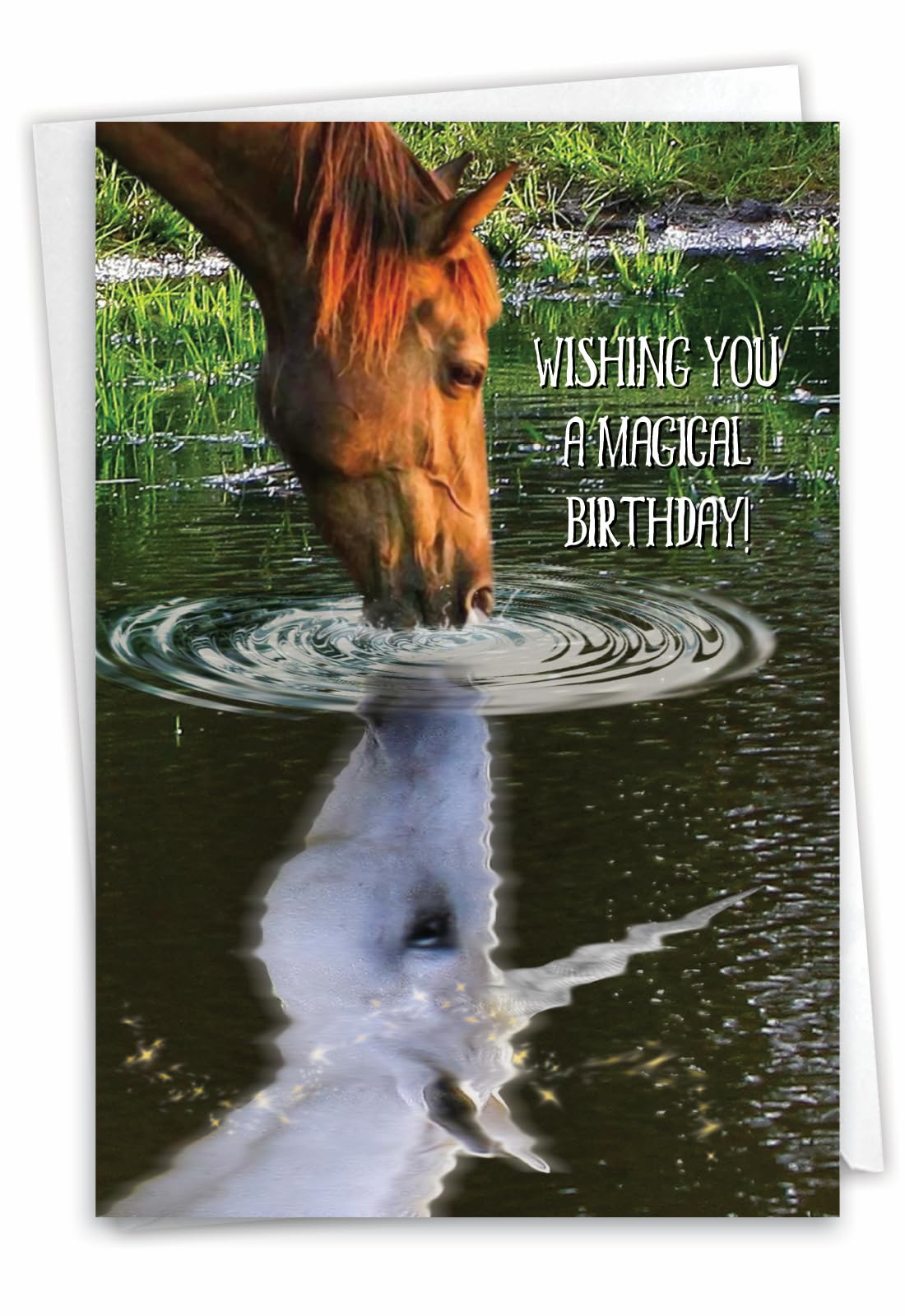 The Best Card Company - 1 Birthday Greeting Card with 5 x 7 Inch Envelope - Aspirations Horse C7076HBDG