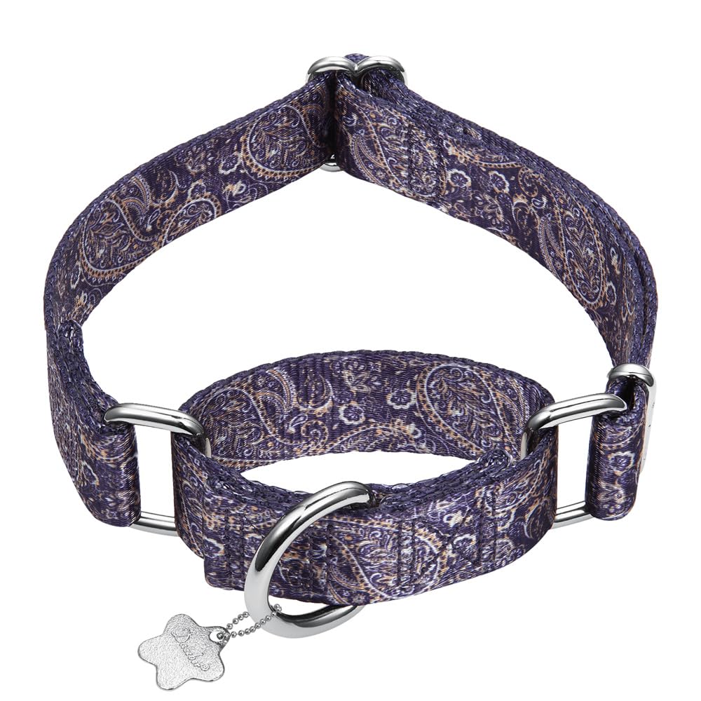 Dazzber Martingale Collar - Dog Collar - New and Fun Pattern, Heavy Duty Training Collar (No Buckle) for Small, Medium and Large Dogs (Paisley Pattern, Large, 1Inch Wide)