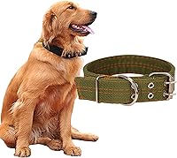 Vista 8 de Love Dream Collar militar ajustable para perro, collares tácticos de nailon con anillo en D de metal y hebilla para perros grandes y extragrandes