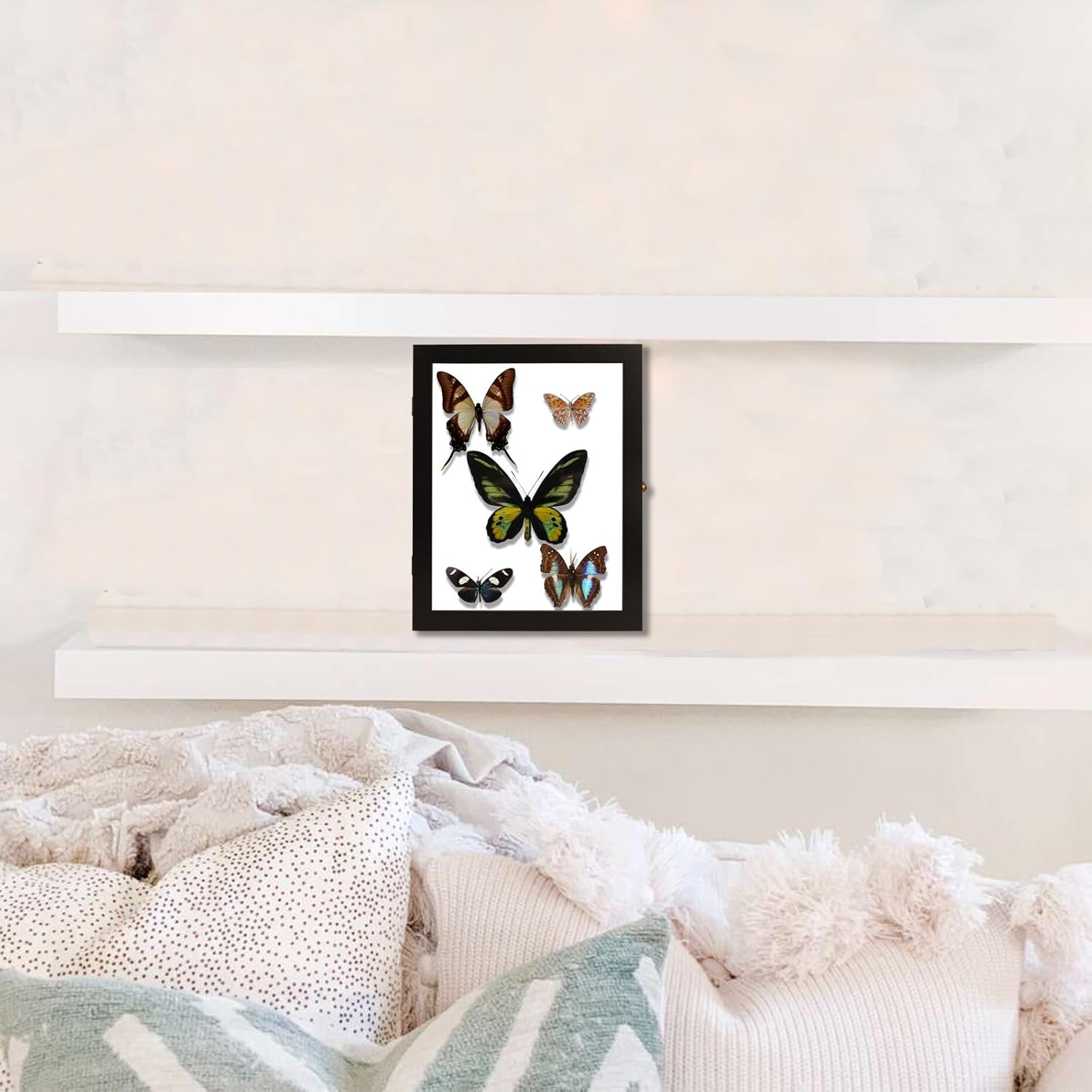 IHEIPYE Insect Display Case Wall Mount Bug Display Collection Box for Butterfly Specimen with Anti Fade UV Protection Acrylic Top Eva Foam Pinning Board and 3 Sizes Pins Insect Shadow Box-Large Black