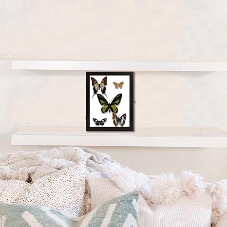 IHEIPYE Insect Display Case Wall Mount Bug Display Collection Box for Butterfly Specimen with Anti Fade UV Protection Acrylic Top Eva Foam Pinning Board and 3 Sizes Pins Insect Shadow Box-Large Black