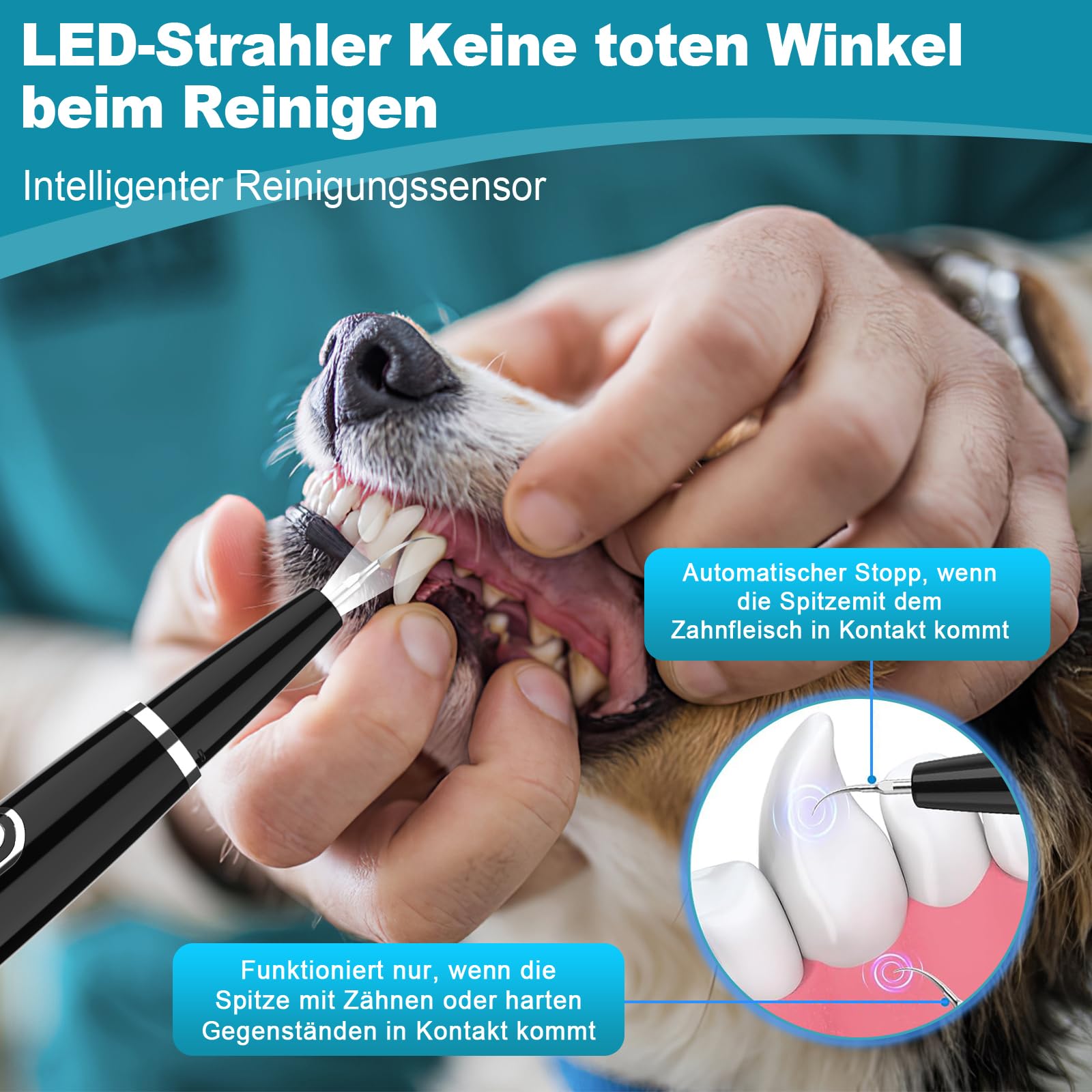 iPalamila Zahnsteinentferner Zahnreiniger Ultraschall für Hund und Katze, Zahnpflege Set, Zahnreinigung und Reinigungsset, mit LED-Licht, Hundezahnbürste zur Zahnpflege, Schwarz