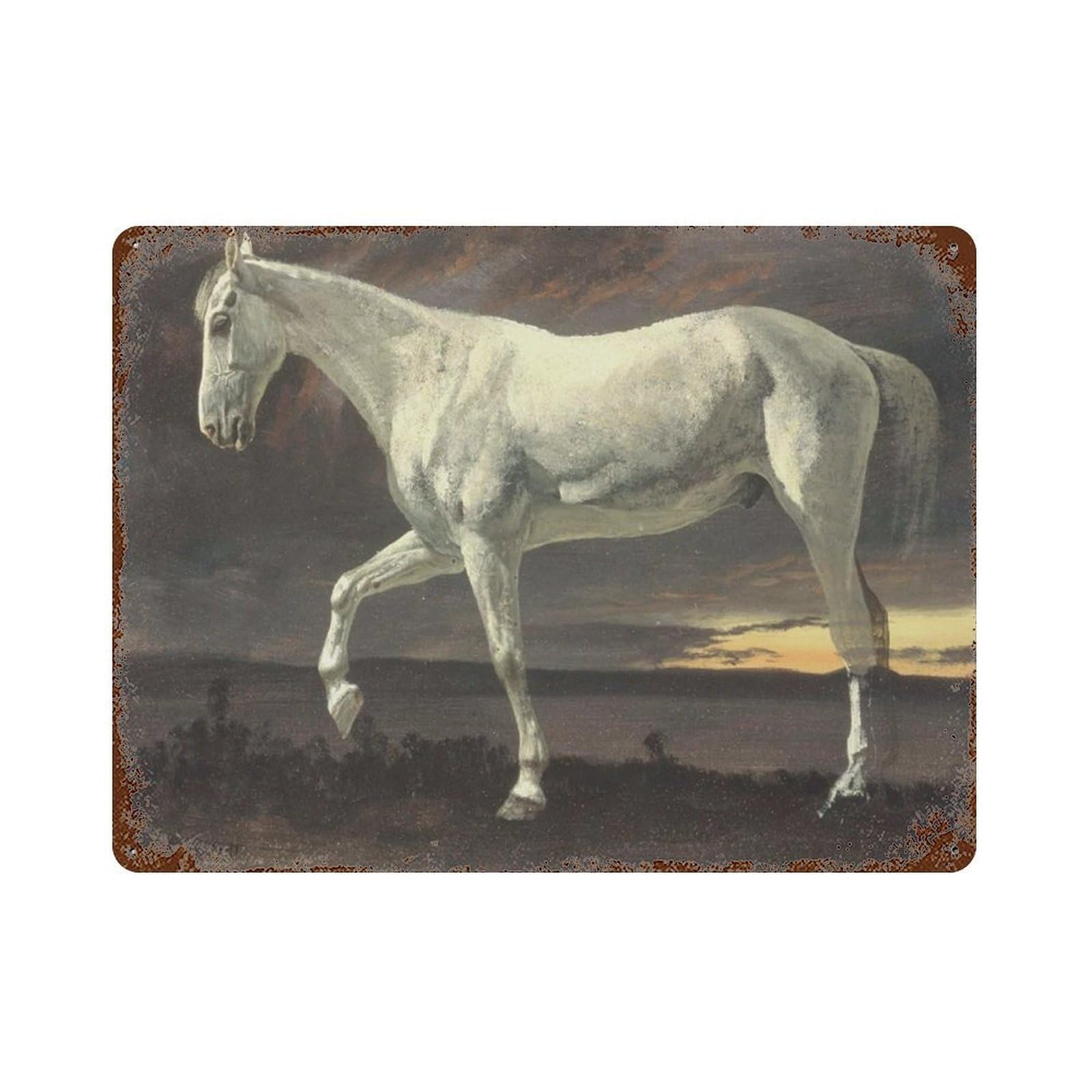 xiaoxiaoshen Horse, Vintage, Farmhouse Wall Decor Art Metal Tin Poster Modern Home Decor Art Home Bar Shop Decorations Vintage Sign 30x40cm