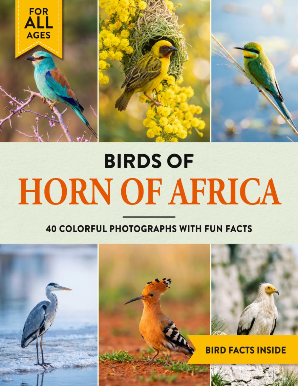 Birds of Horn of Africa: A Birdwatching Picture Book with Fun Facts and Photography for Kids, Adults & Birders