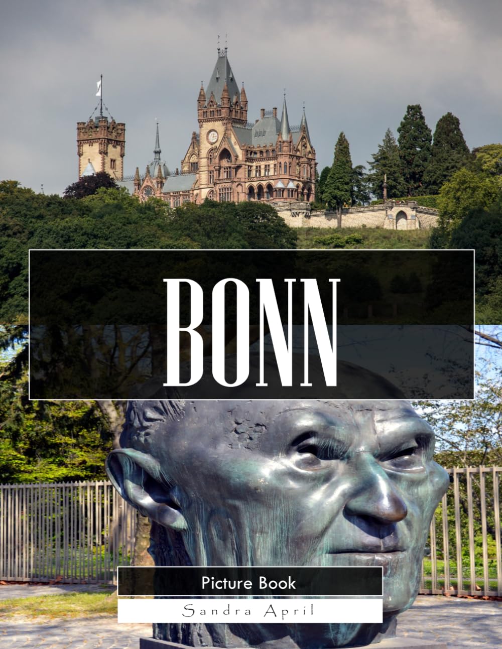 Bonn: A Stunning Coffee Table Picture Book – For Travelers & History Lovers