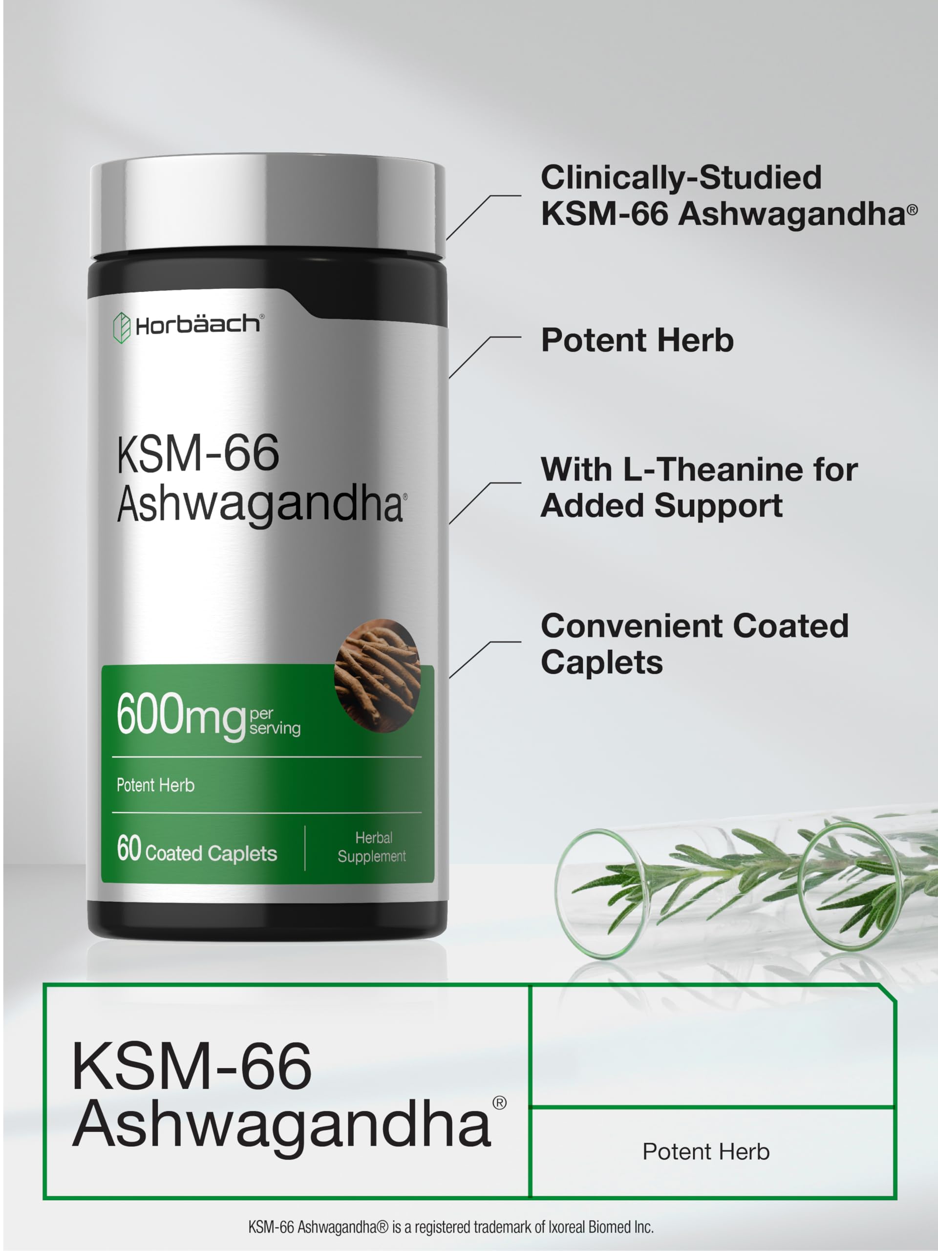 Horbäach KSM-66 Ashwagandha | with L-Theanine | 60 Coated Caplets — Amazon image 4