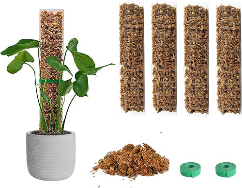 EOX Juego de 4 postes de musgo de plástico de 15 pulgadas para plantas Monstera con musgo de esfagno de 5.3 oz150 g, postes para plantas trepadoras,