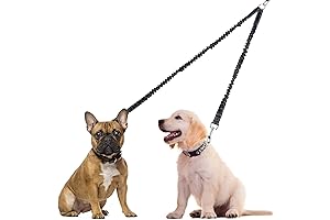 Double Dog Leashes: The Perfect Solution for Tangle-Free Dog Walking