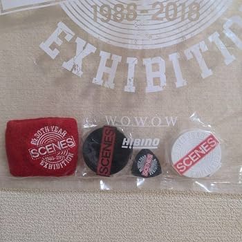 Amazon.co.jp: b'z 30th year exhibition scenesグッズ5 点