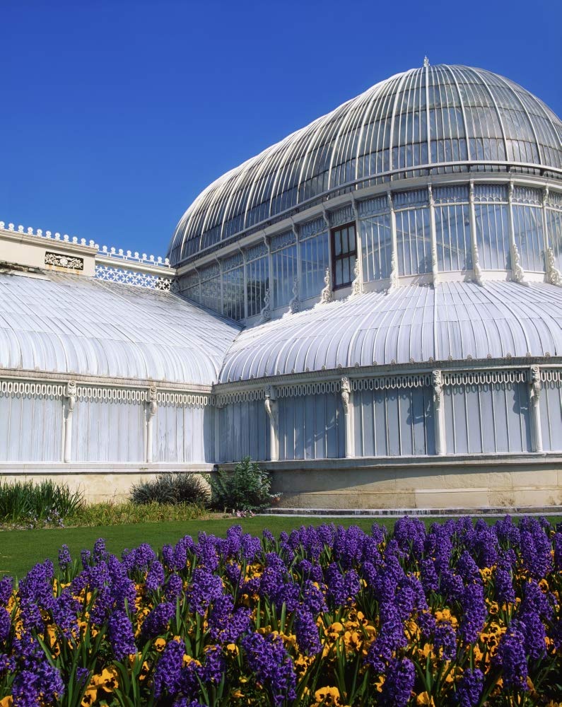 Palm House, Belfast Botanic Gardens, Belfast, Co Antrim, Ireland; 19Th Century Cast Iron Glasshouse by The Irish Image Collection / Design Pics (26 x 34)