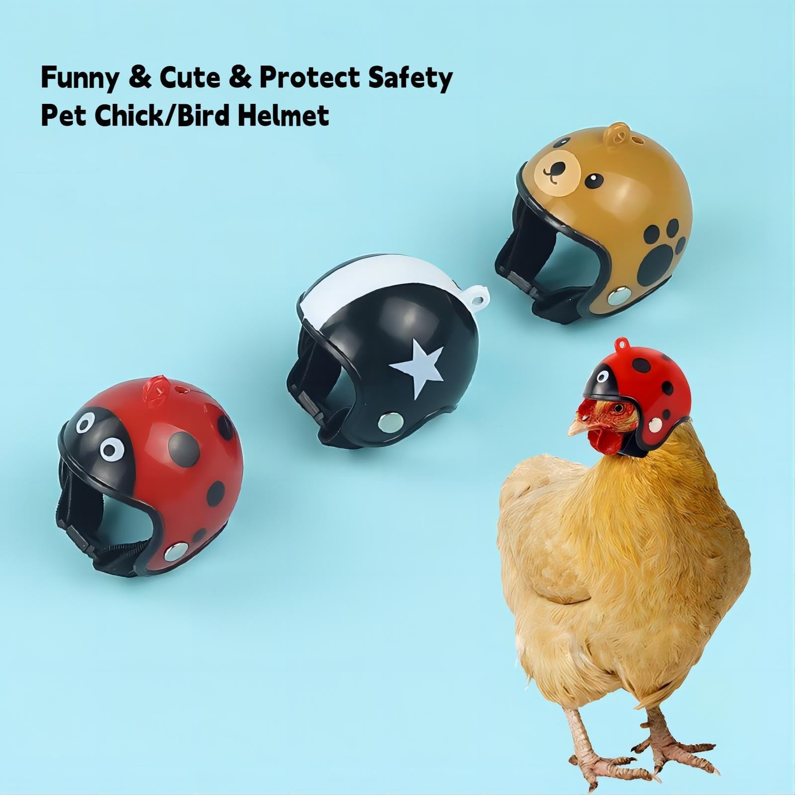 KAYNO 3pcs Chicken Helmets, Funny Hen Helmet, Adjustable Elastic Band,Pet Chicken Accessories, Chicken Safety Hat Used to Prevent Chickens/Bird from Pecking Each Other and to Protect Their Heads. : Pet
