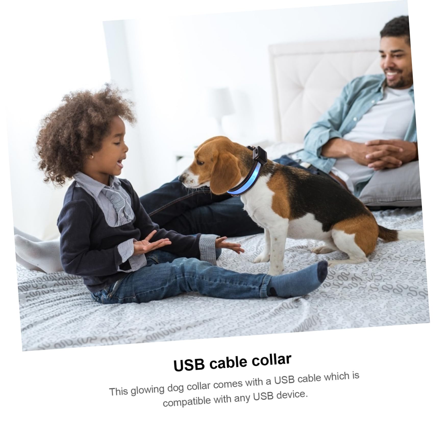 Housoutil 3juegos Collar Led para Perros Recargable por USB y Solar Acolchado y Resistente Visibilidad Alta para Paseos Nocturnos