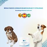 Ver la foto 2