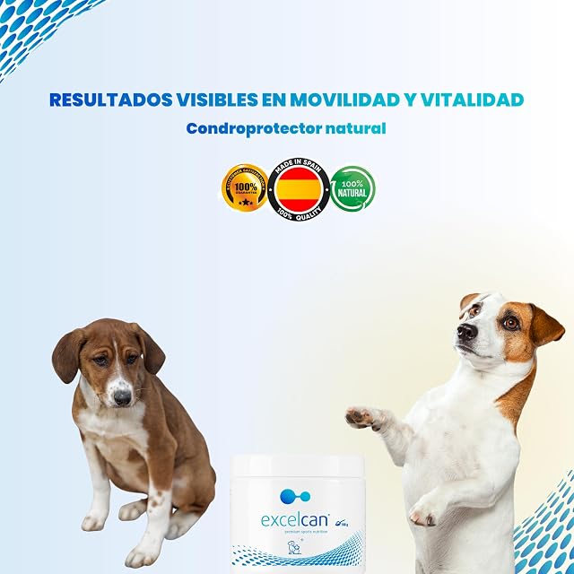 Foto 2 de 8 de Condroprotector Perros Senior · Salud Articular · Longevidad · Vitalidad · Antiinflamatorio · Defensas…