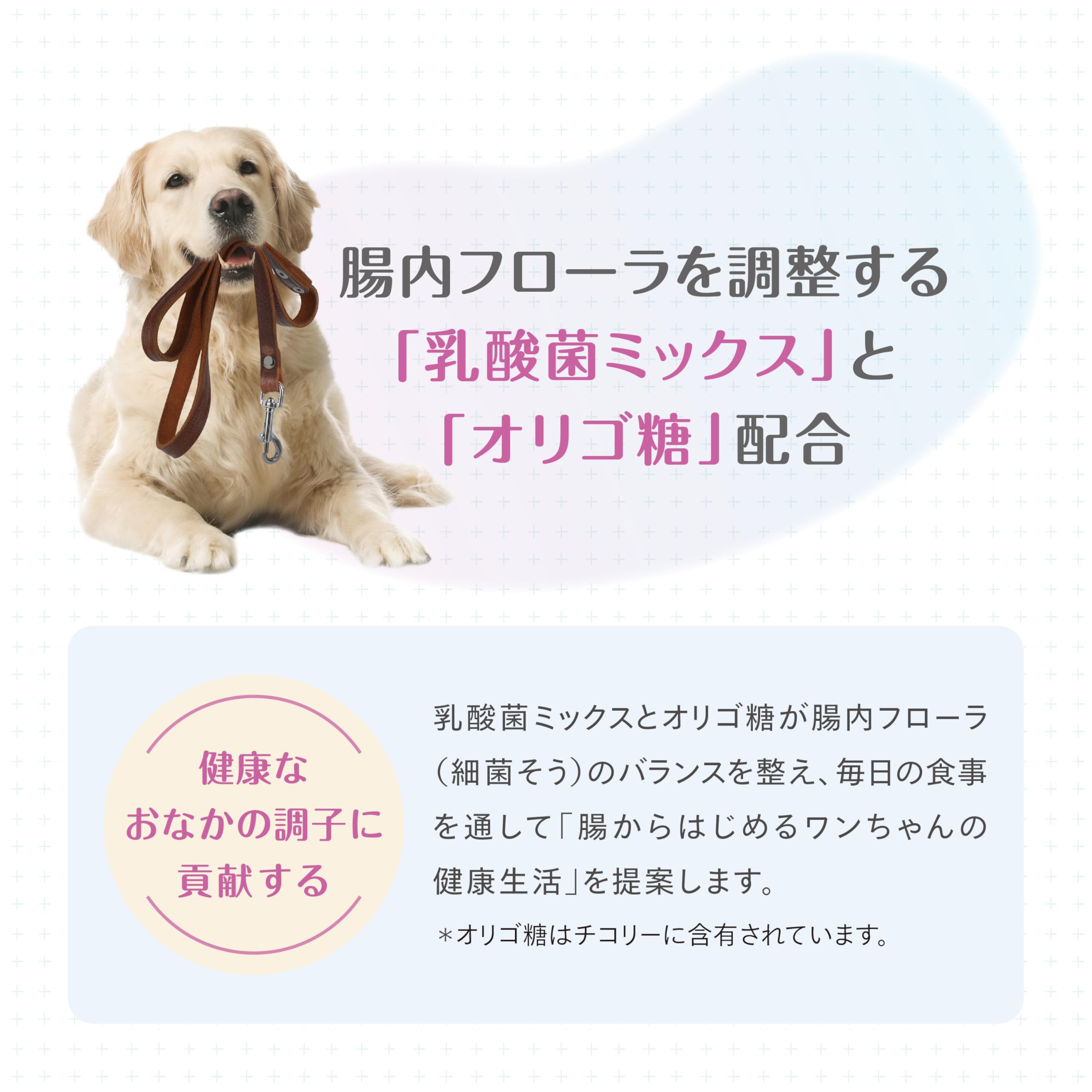 Amazon.co.jp: 森乳サンワールド スーパーゴールド おなかラボ 成犬用