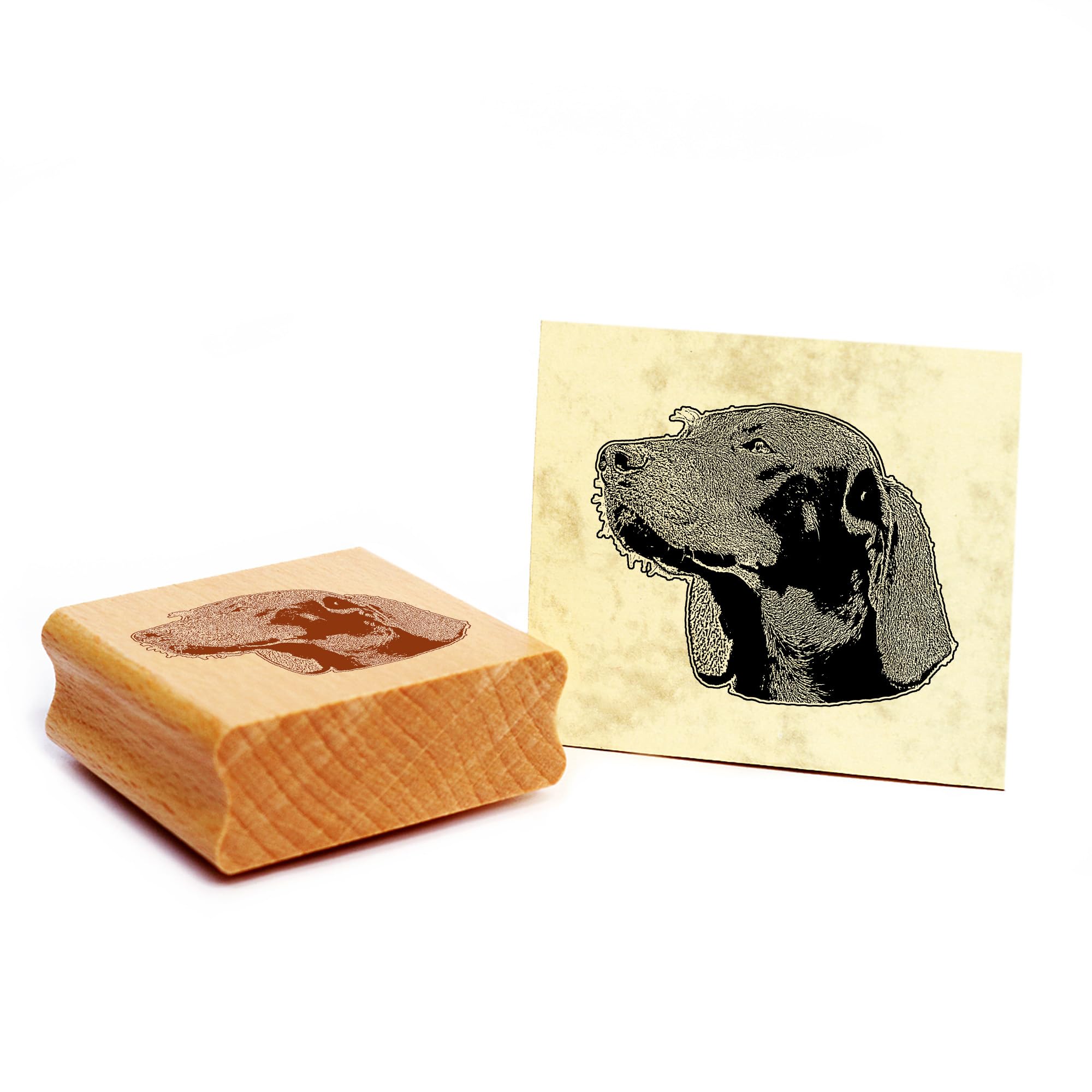 Dekolando Wooden Stamp with Austrian Bracke Dog Design 48 x 40 mm — image 1
