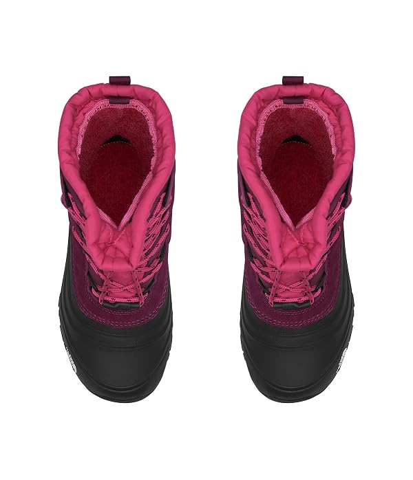 The North Face Teen Alpenglow V Waterproof Boot | Insulating Thermafelt Liner for Warmth at -25F, Boysenberry/TNF Black, 6 by The North Face - Image 5