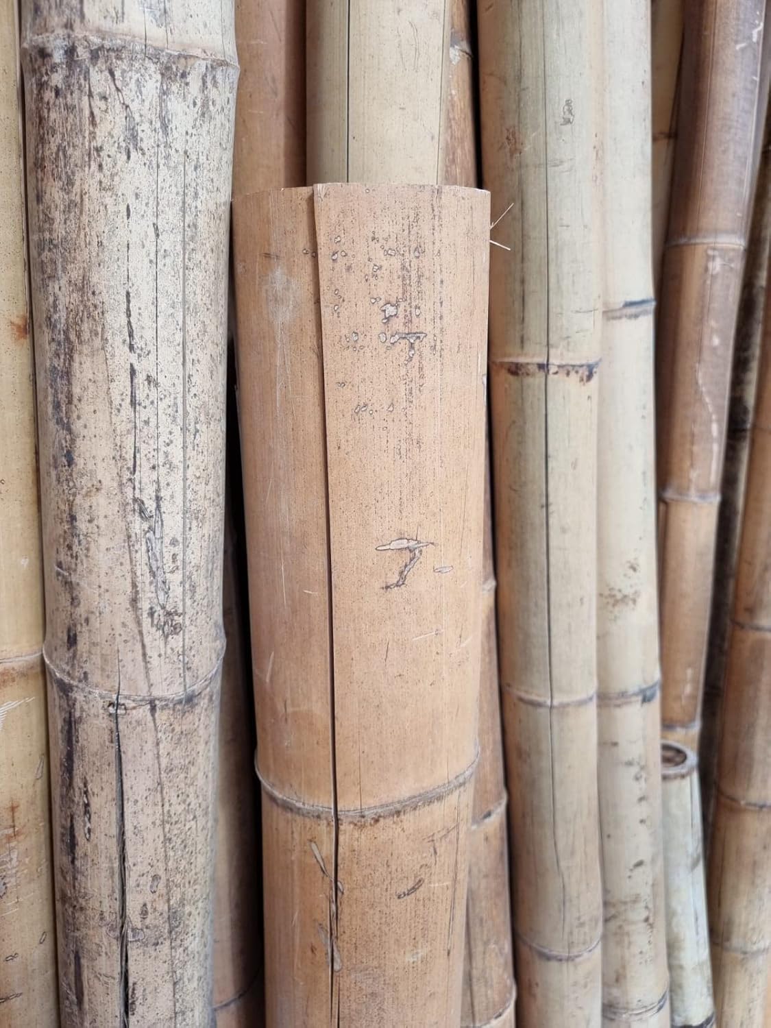 Canna di Bambù Gigante MOSO (CM 200 Ø 7/11) – TERZA SCELTA - CON FESSURE - Canne di Bamboo Naturale Decorativo per Arredo Casa, Giardino, Recinzione, Fai-da-Te e Design Outdoor Indoor