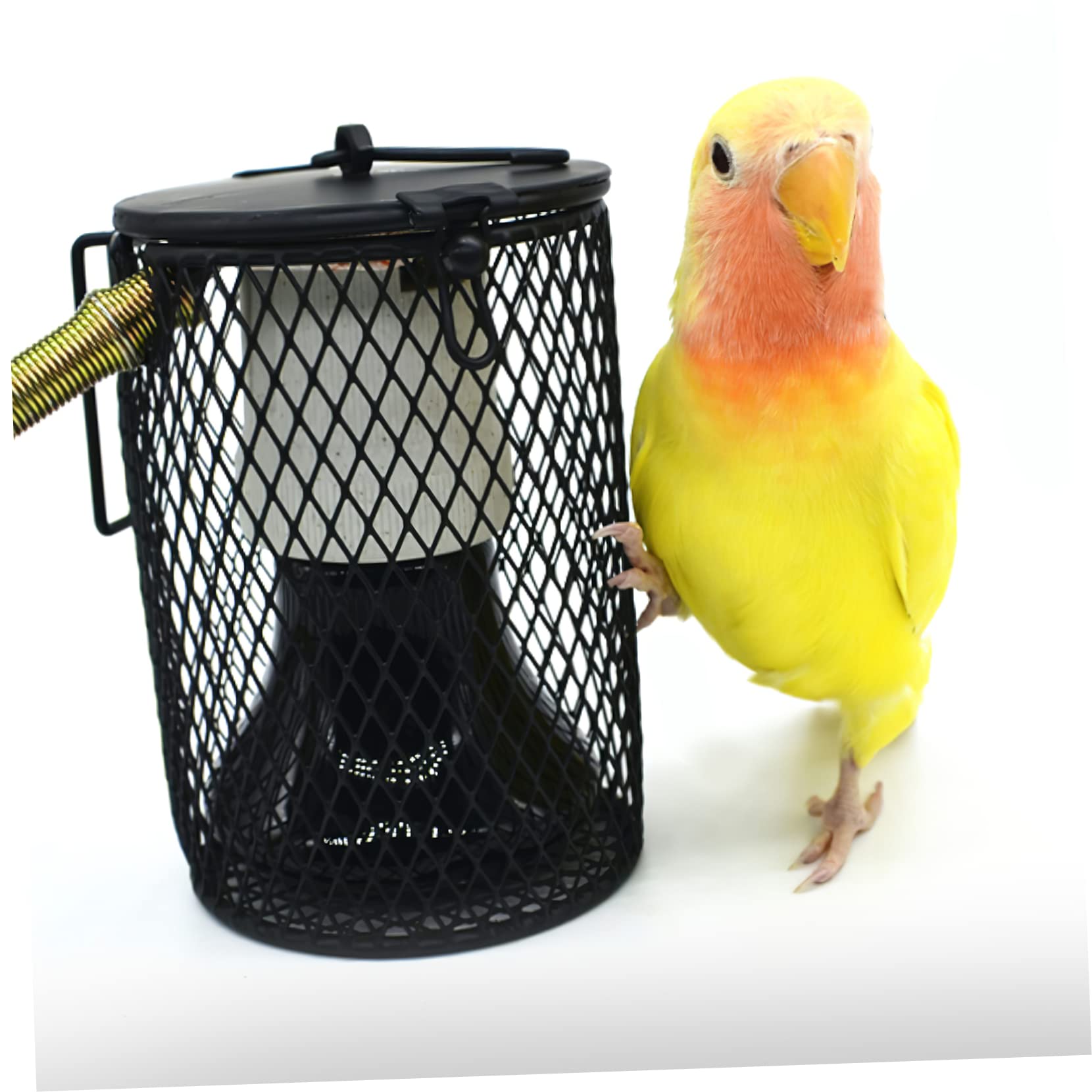 Toddmomy 3 Copertura per Lampade Riscaldanti per Rettili Rete Scaldante per Teca Protezione per Animali Domestici Come Tartarughe e Parrotti e Dissipazione del