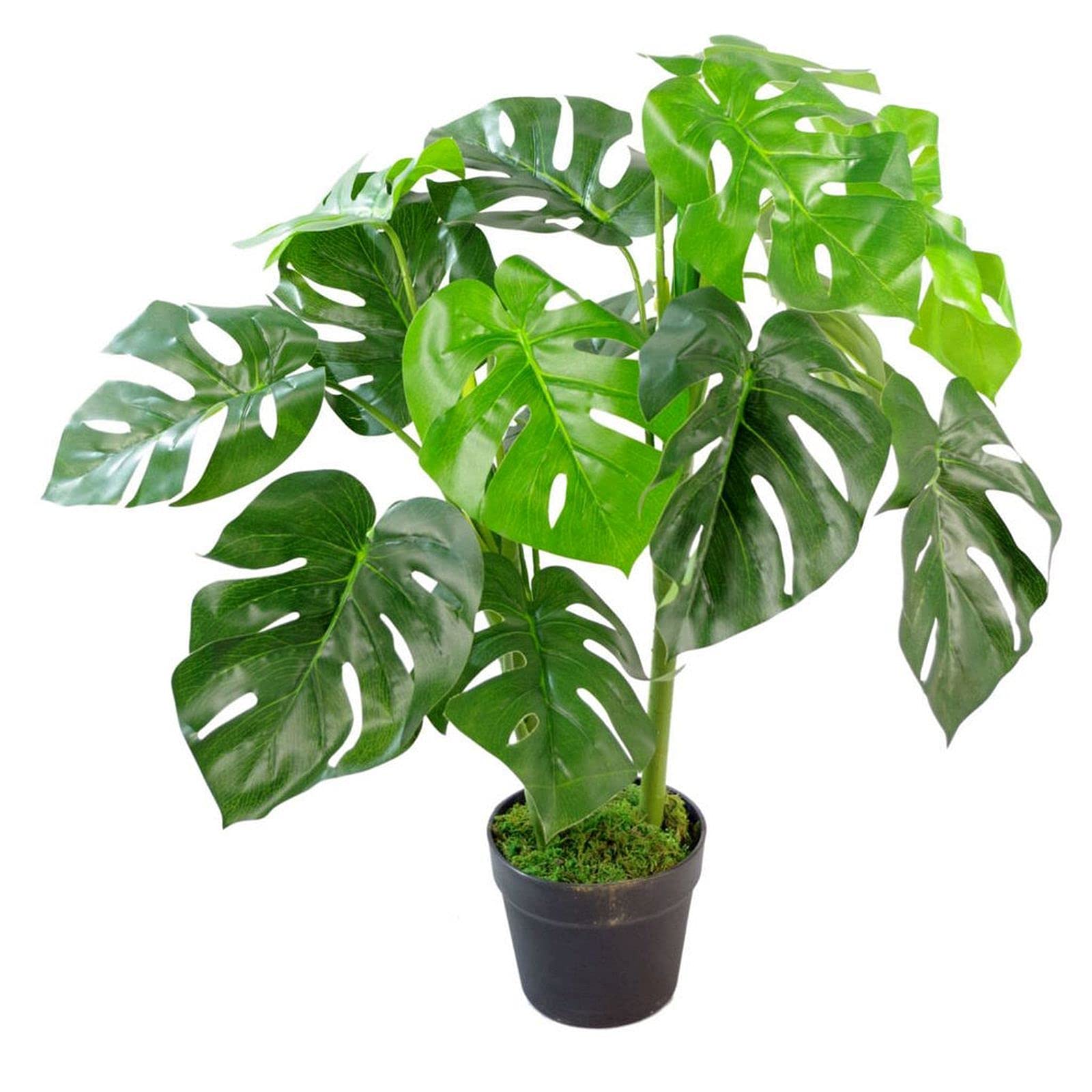 Leaf realistic Artificial Monstera Cheese Plant