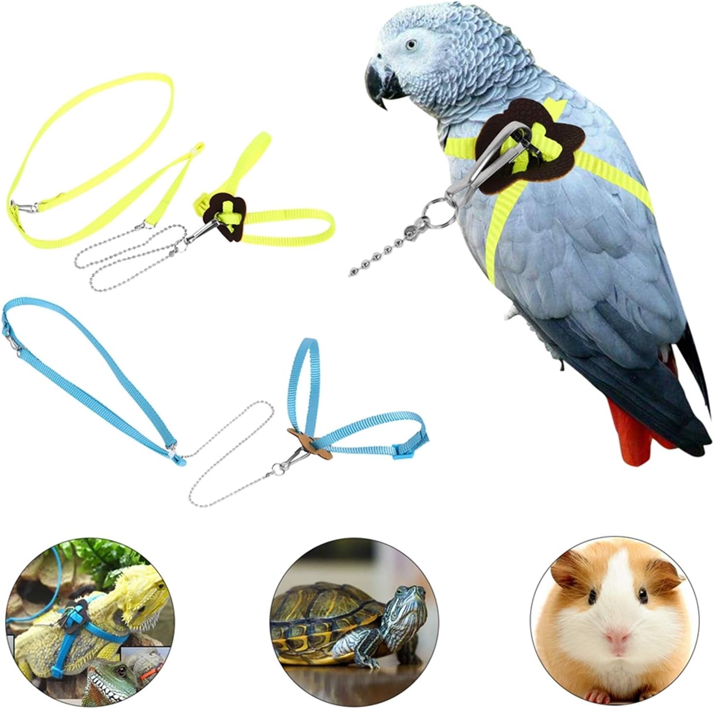 Parrot leash Clearance