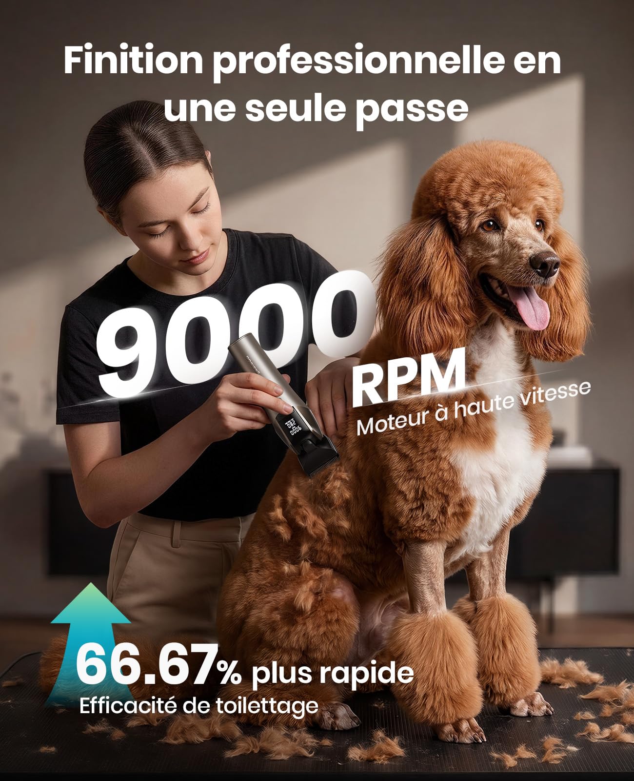 oneisall Tondeuse Chien Professionnelle | 9000 RPM 5 vitesses,DLC lame 5-en-1 , autonomie de 280 min,<50 dB silencieux, 8 peignes guides métalliques