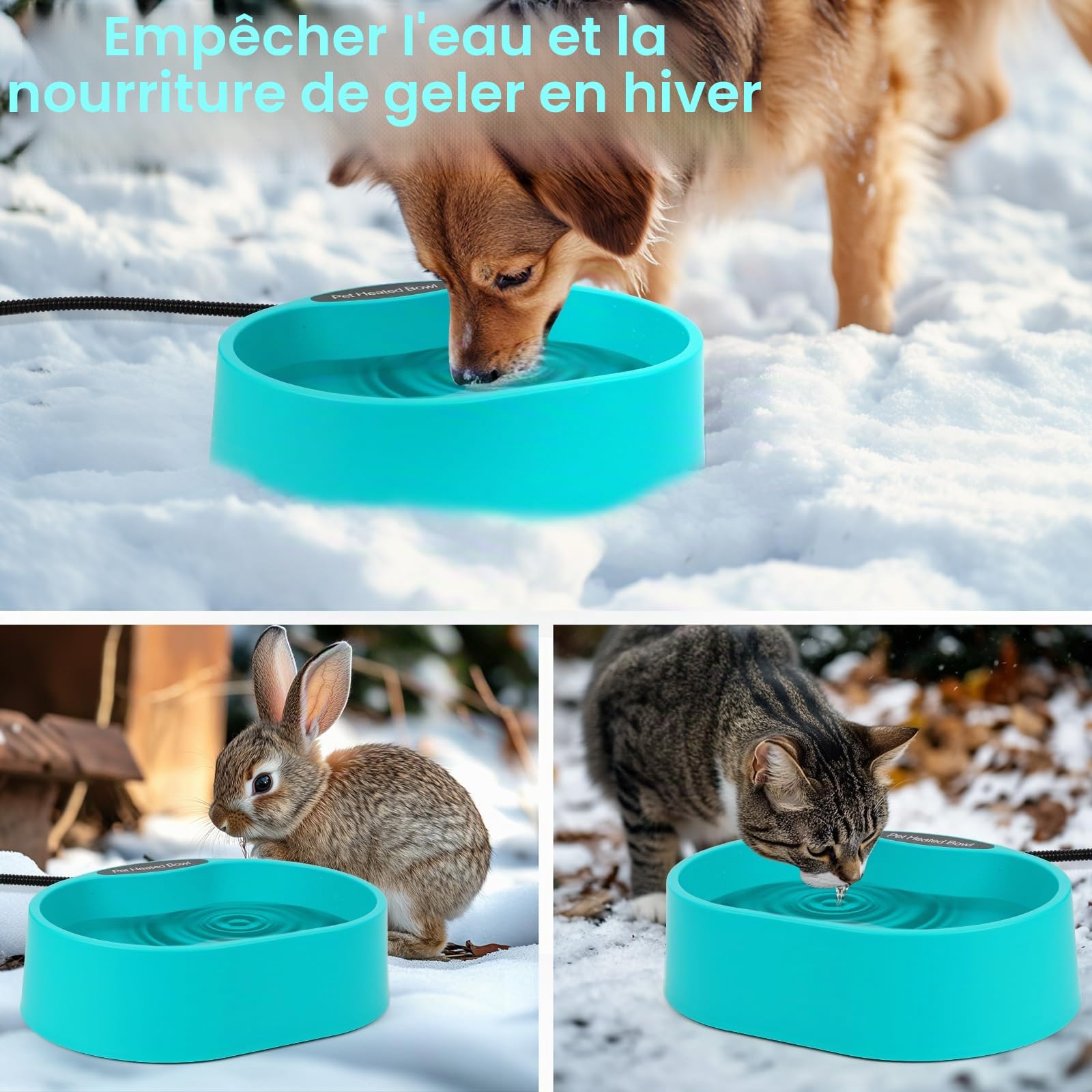 Diealles Shine Ecuelle d'eau Chauffée pour Chiens, 3.7L Ecuelle Chauffée pour Animaux Domestiques, Abreuvoir Chauffé Antigel, 2m Câble Anti-Bite, Ecuelle d'eau Chauffée pour Chiens Chats Lapins