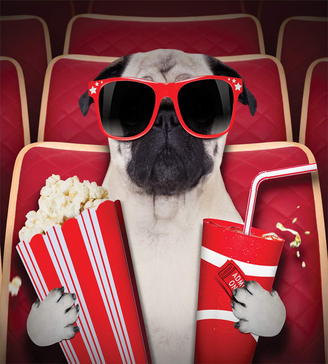 Ambesonne Pug Duvet Cover Set, Funny Dog Watching Movie Popcorn Soft Drink and Glasses Animal Photograph, Decorative 2 Piece Bedding Set with 1 Pillow Sham, Twin Size, Cream Ruby