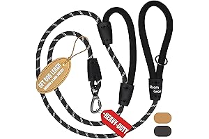 6 Foot Strong Dog Leash for Large Dogs