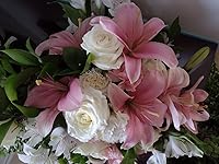 Review Image by Virginia Virginia