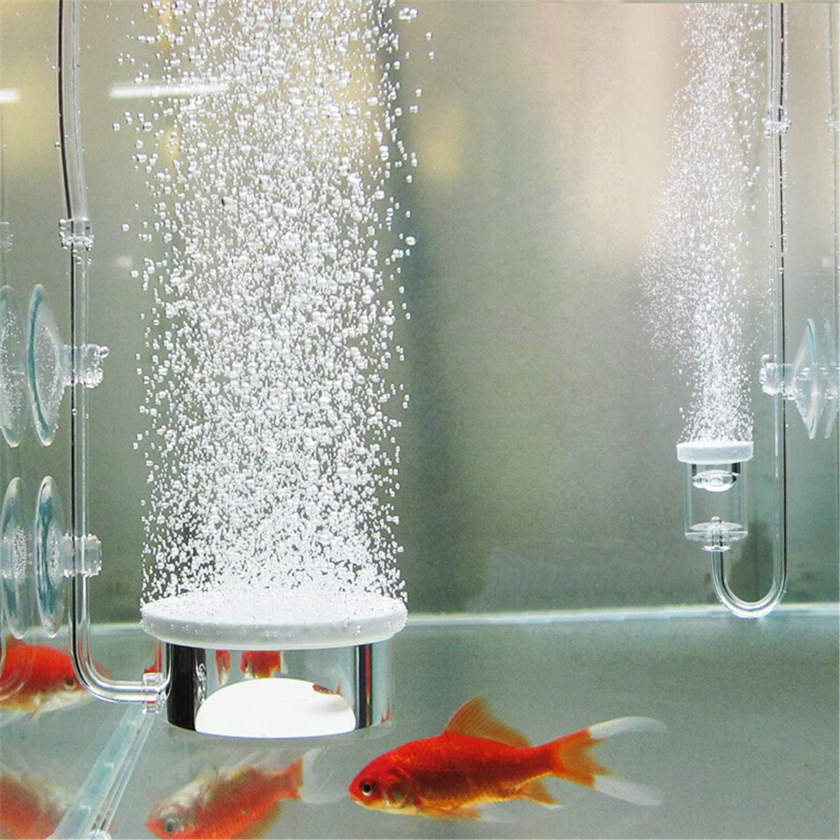 RanDal Aquarium Bubble Air Stone Pump Hydroponics dyfuzor do akwarium, do aeratora
