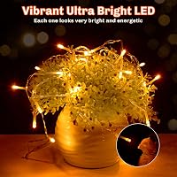 cshare Tündérfény 3m 30 LED Elemes Fényfüzér - IP65 Vízálló, 6 Órás Időzítővel, Beltéri/Kültéri Dekoráció Karácsonyra, Kertbe, Szobába (Mele 5