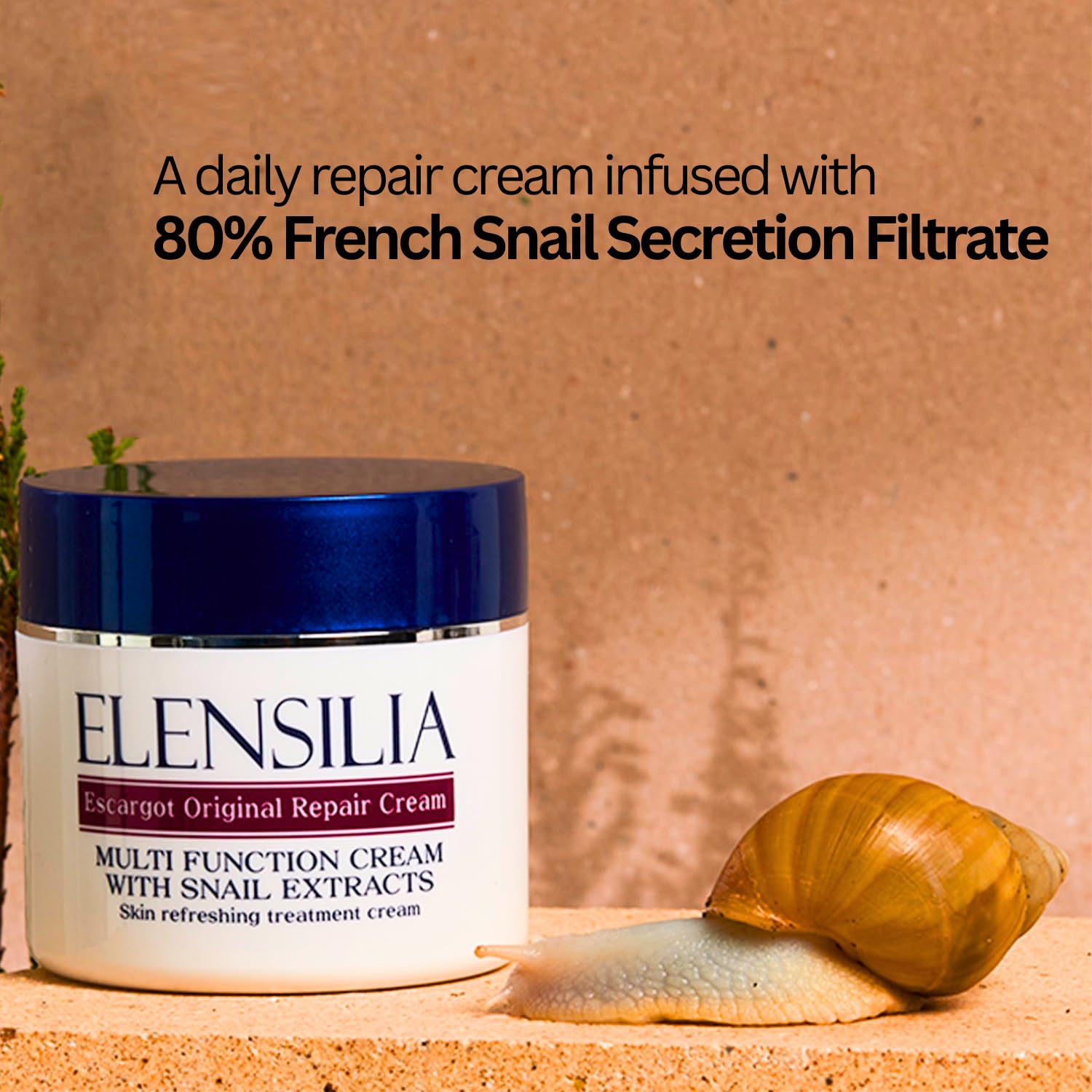 Elensilia Original Escargot Facial Repair Cream 1.76 oz (Pack of 2) - 80% French Mucin for Moisturizing - Bouncy Gel Texture - Long-Lasting Hydration, Wrinkle Care- Korean Skincare