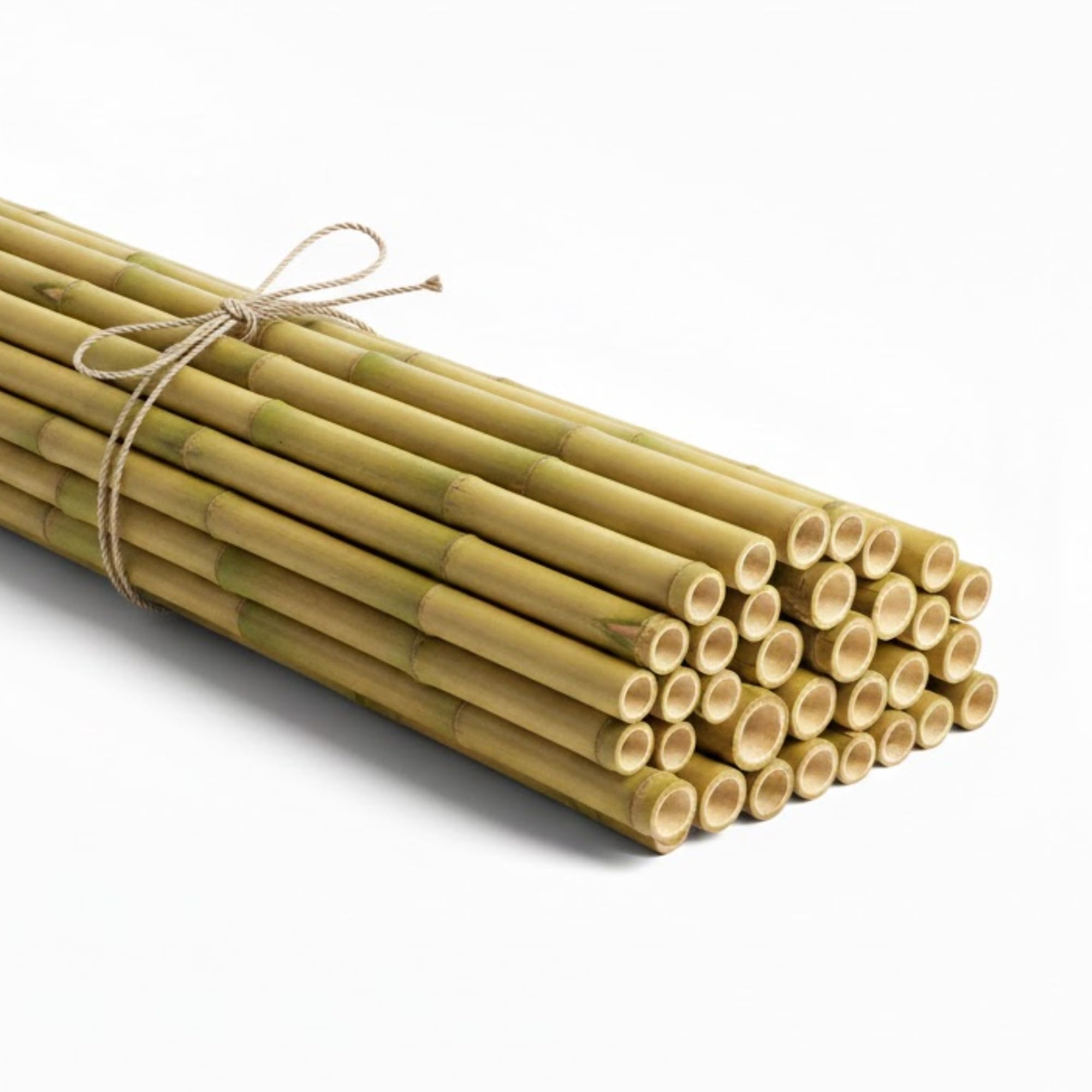 Q&H Strong Heavy Duty Professional Bamboo Canes 2ft, 3ft, 4ft, 5ft, 6ft - Outdoor Plant Support Garden Canes - Sturdy & Natural Bamboo Sticks for Plants Size - Natural Stake Pole Can (50, 5ft (150cm))