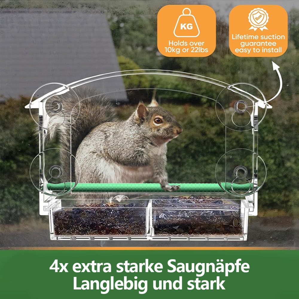 Comedero Transparente para Aves para Ventana - Exterior con 3 Ventosas y Posadera (25×15.5 cm) — view 4