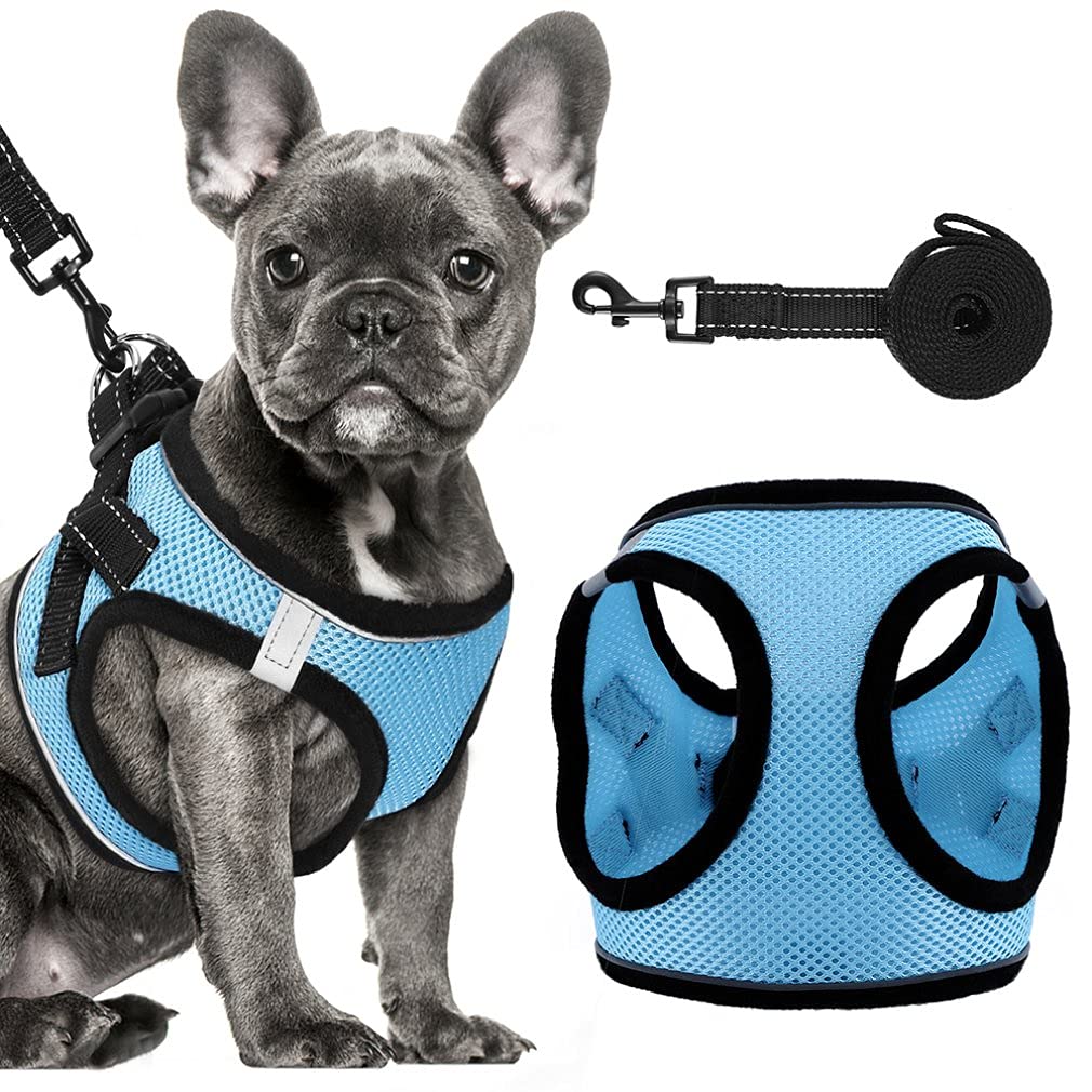 Small Dogs Harness Set, NoPull Reflective Step in Dog Vest Harness