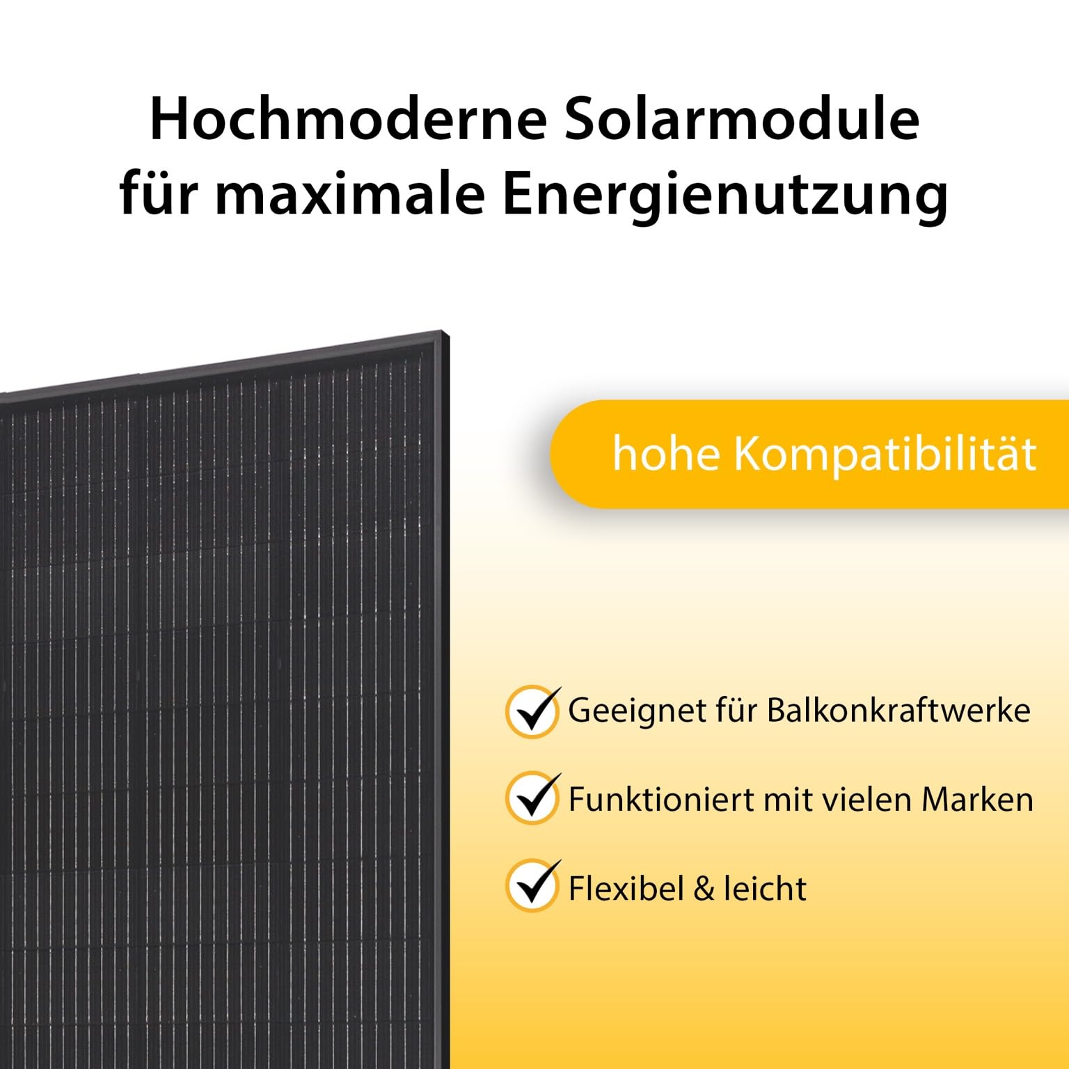 VALE Solarmodul-Set Bifazial 900 Wp Full Black - Glas-Glas-Module - Solarpanel für Balkonkraftwerke - Universal einsetzbar - Lineare Leistungsgarantie