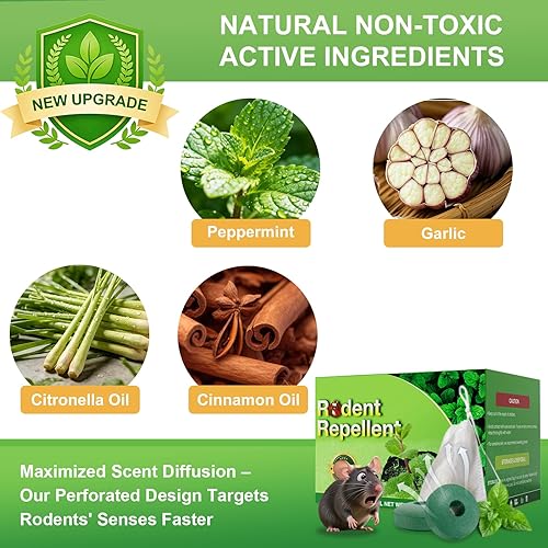 Miniatura 3 de Bolas repelentes de ratones, aroma a menta, seguras para uso en interiores, 24 unidades