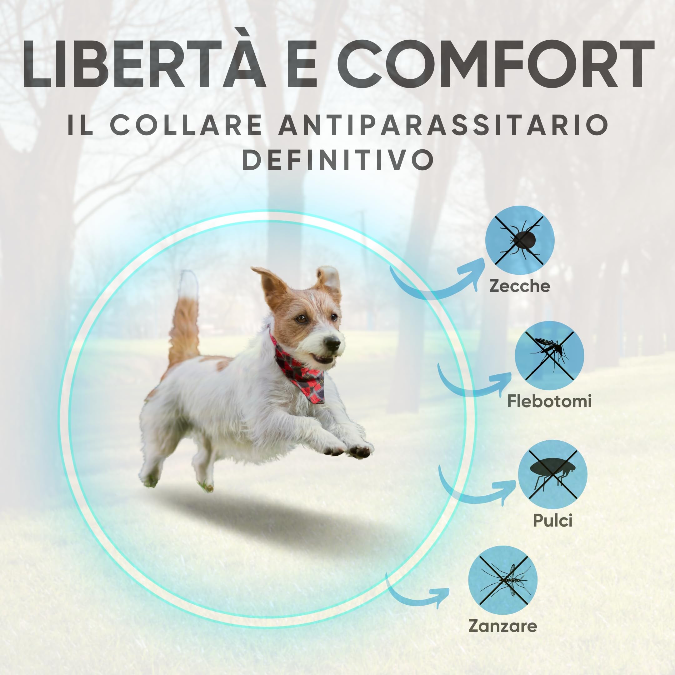 Collare Antiparassitario per Cani - Super Bau Bau, Confezione da 2, Antipulci, Antizecche, Anti Zanzare, Impermeabile, Efficace per 12 Mesi, 38cm per Cani fino a 8kg