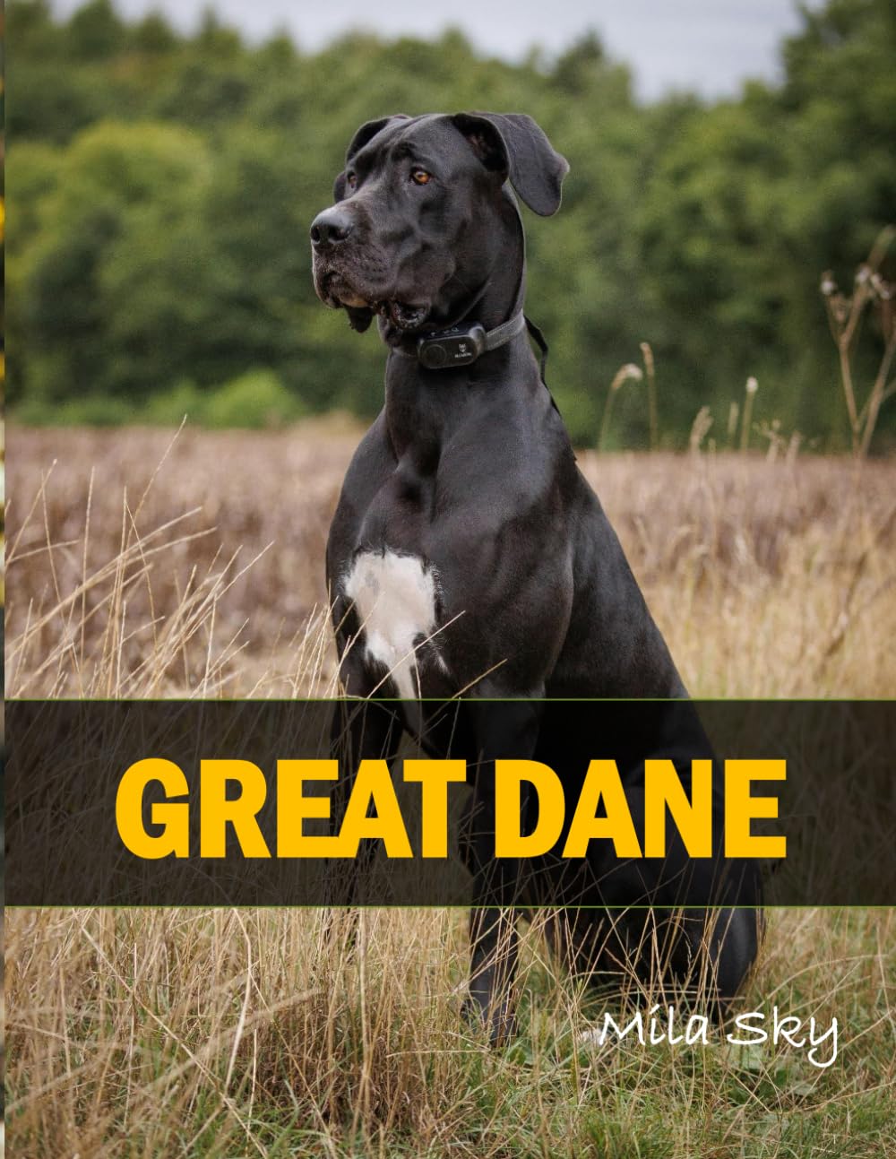 GREAT DANE: A Coffee Table Photo Book for Animal Lovers