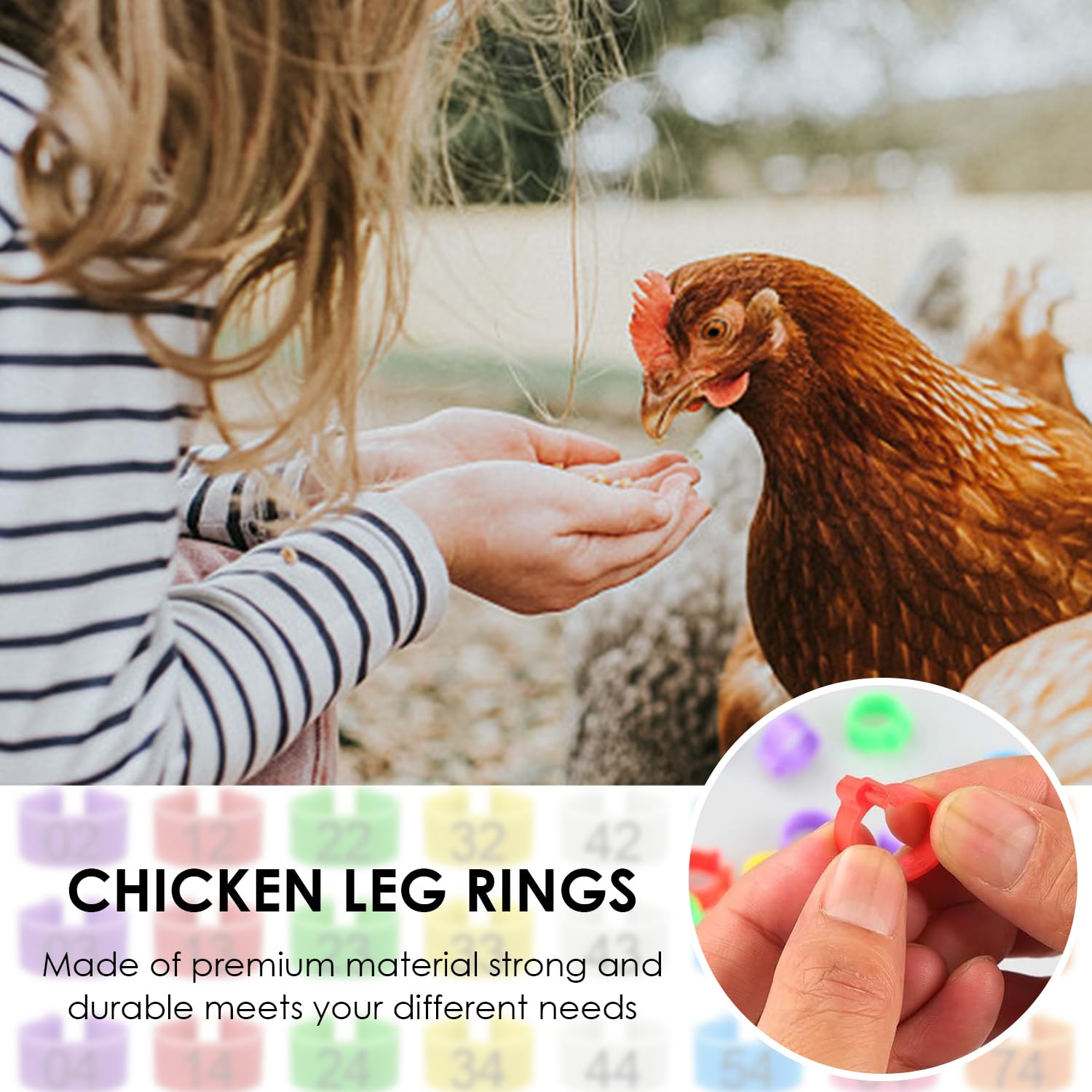 80 Piezas Hebilla de Marcado Digital para Patas de Pollo, Anillo de Plástico para Aves de Corral