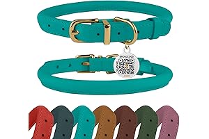 Premium Turquoise Leather Dog Collar with QR ID Tag