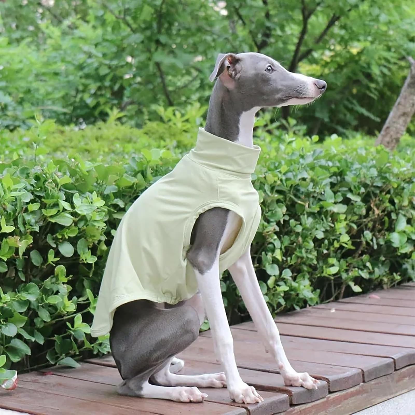 T-Shirt Lévrier Italien pour Chiens De Petite Et Moyenne Taille, Gilet D'été Léger Et Frais, Vêtements Whippet, Chemises Respirantes pour Animaux De Compagnie, Vêtements D'extérieur(Green,S)