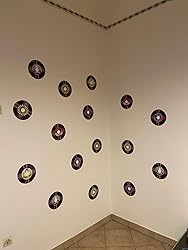 Disco Ausonia Per Decespugliatore 25cm - Lama Dentata Per Rovi E Sterpaglie - Foto 9