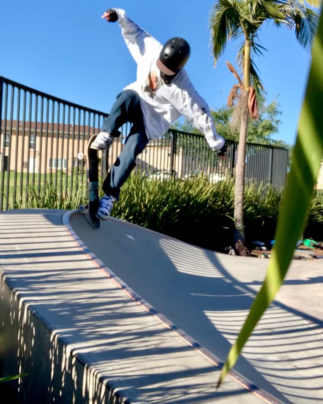 Limited Edition Flight School Skateboard Deck 8.25