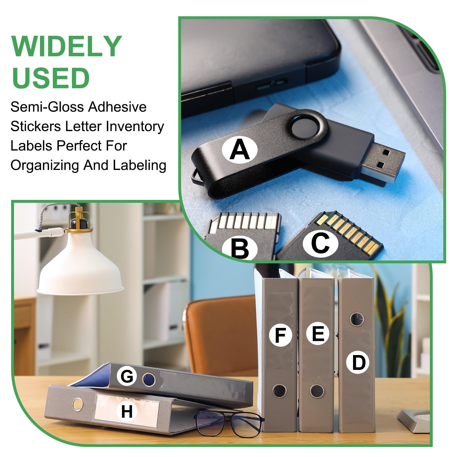 View 6