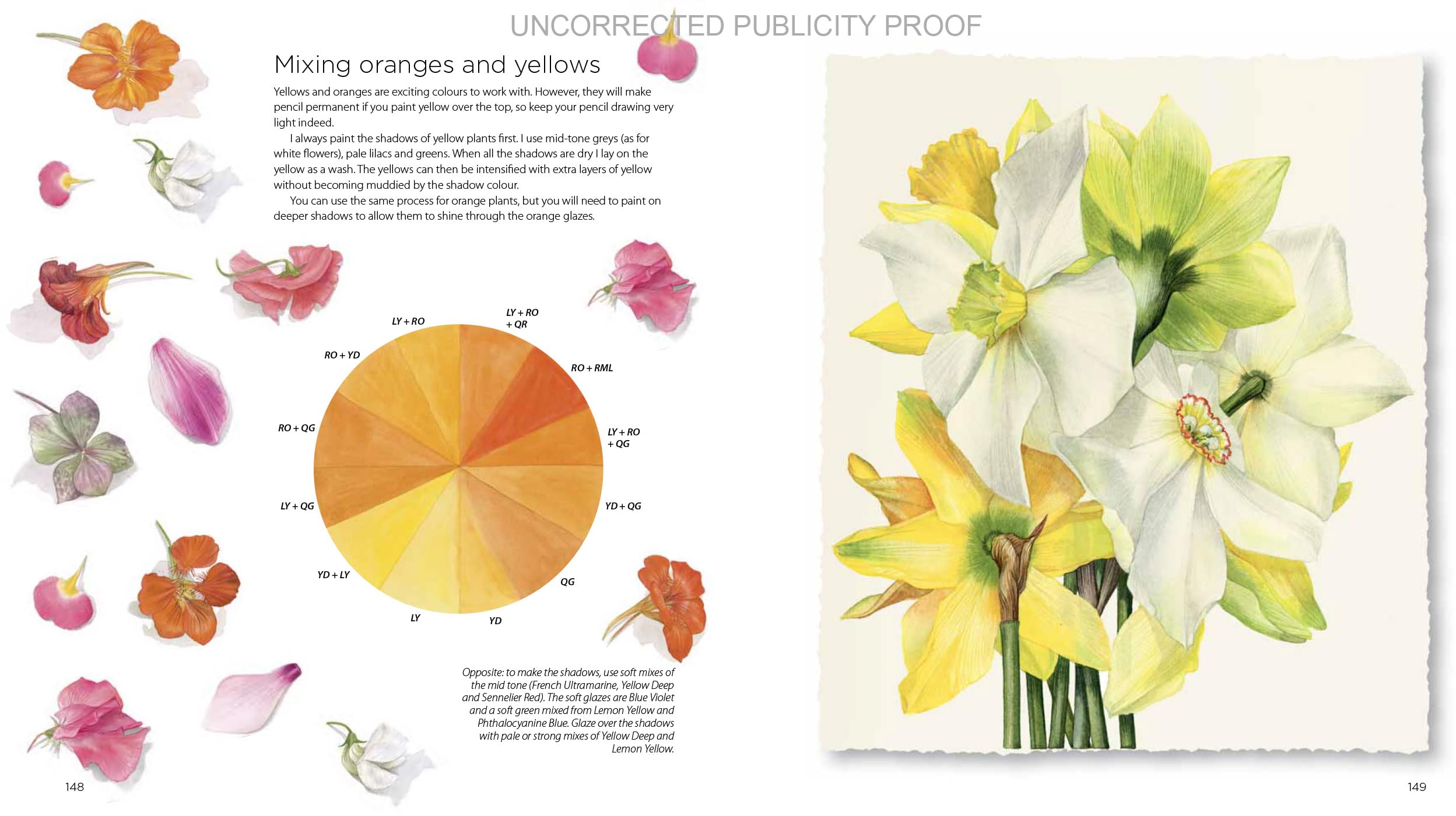 Billy Showell Botanical Painting Watercolour