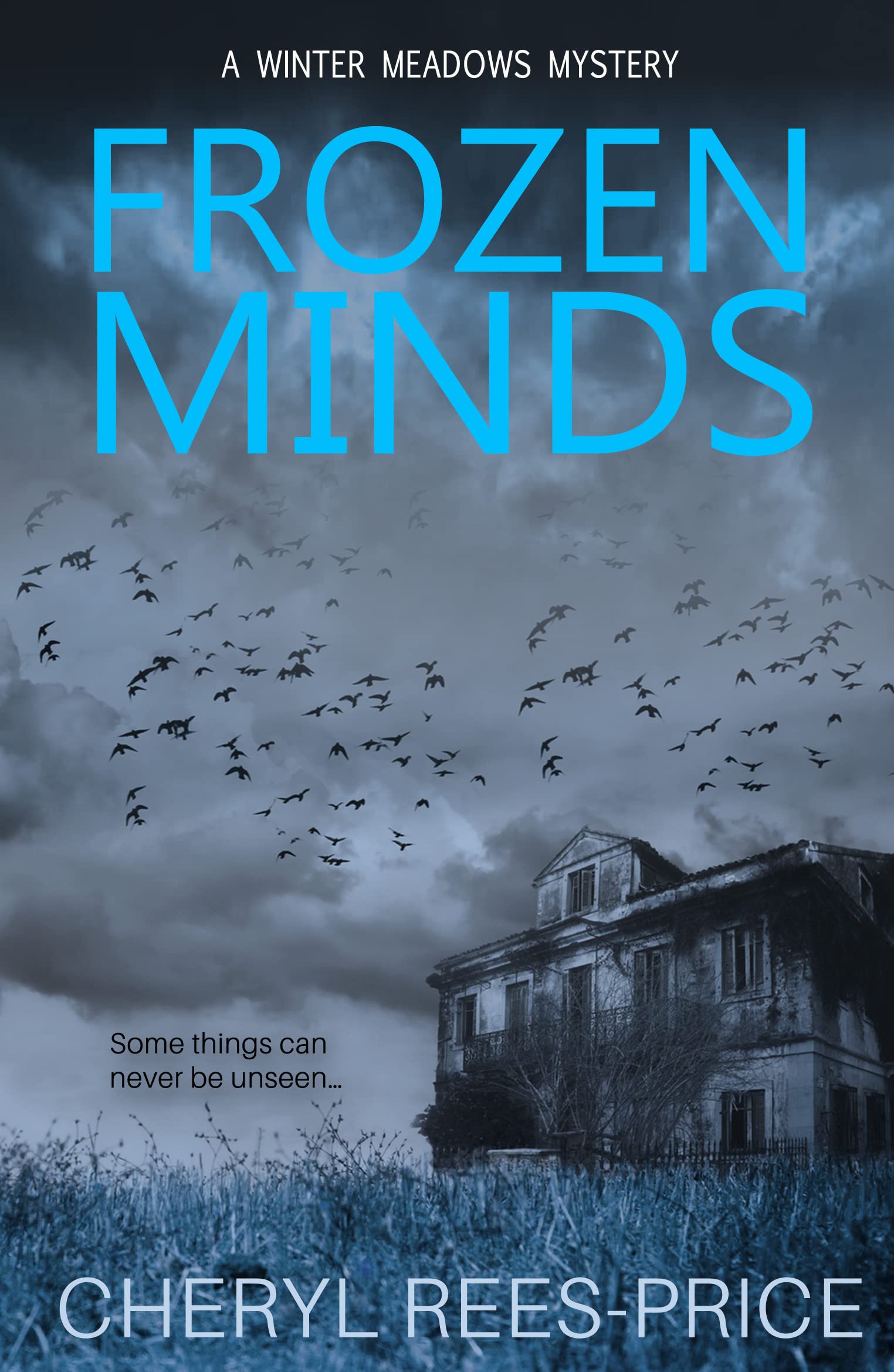 Buy Frozen Minds: A DI Winter Meadows Mystery: 2 (Winter Meadows series) — BookShops.in